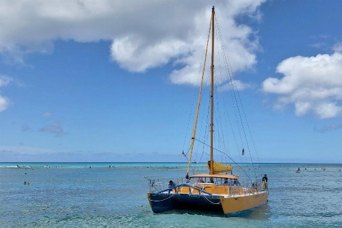 Island Colony Suites - image 10