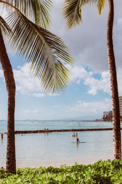 Royal Grove Waikiki - image 20