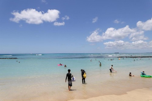 Royal Kuhio #3205 - image 9