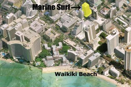 Marine Surf #1204 - image 9