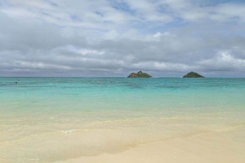 Island Colony 3208 - image 7