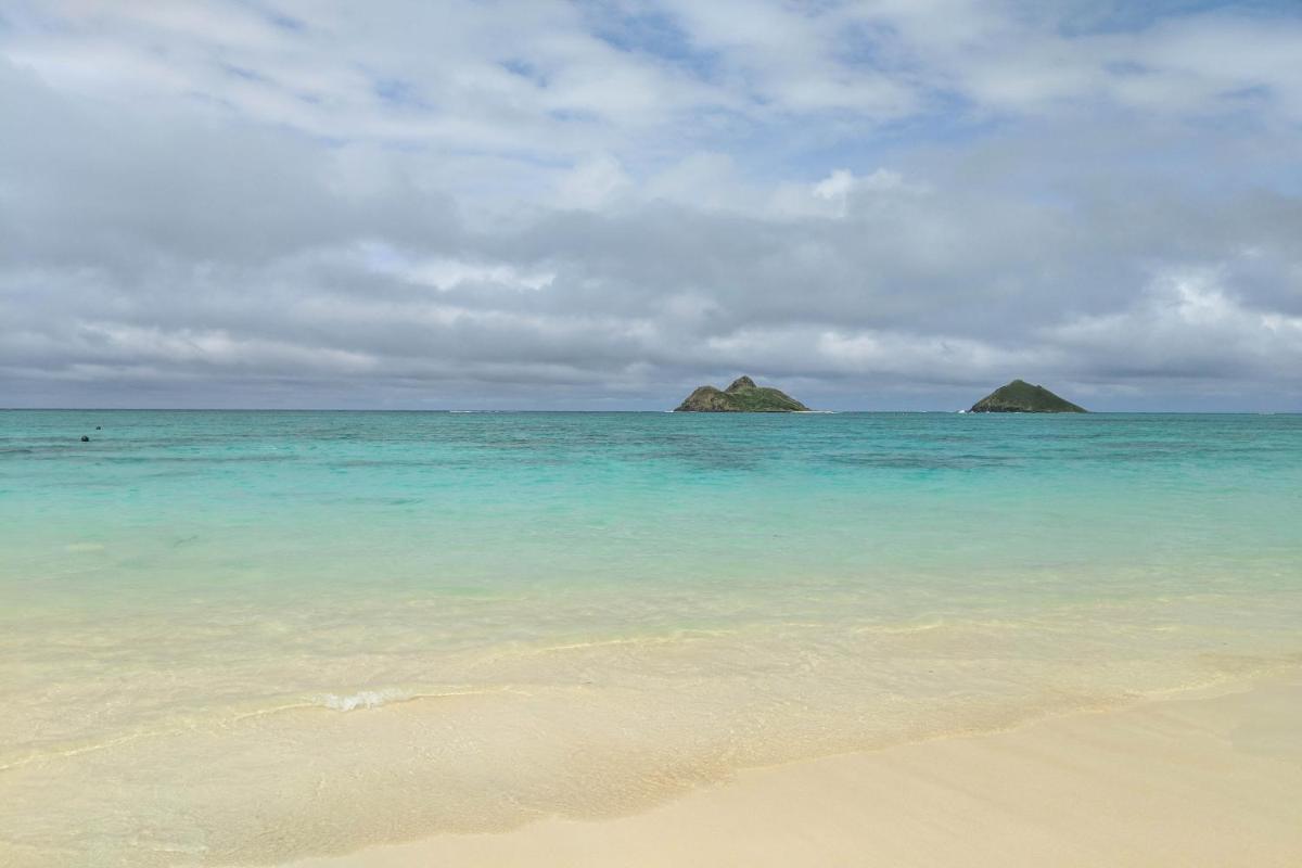 Island Colony 3208 - image 7