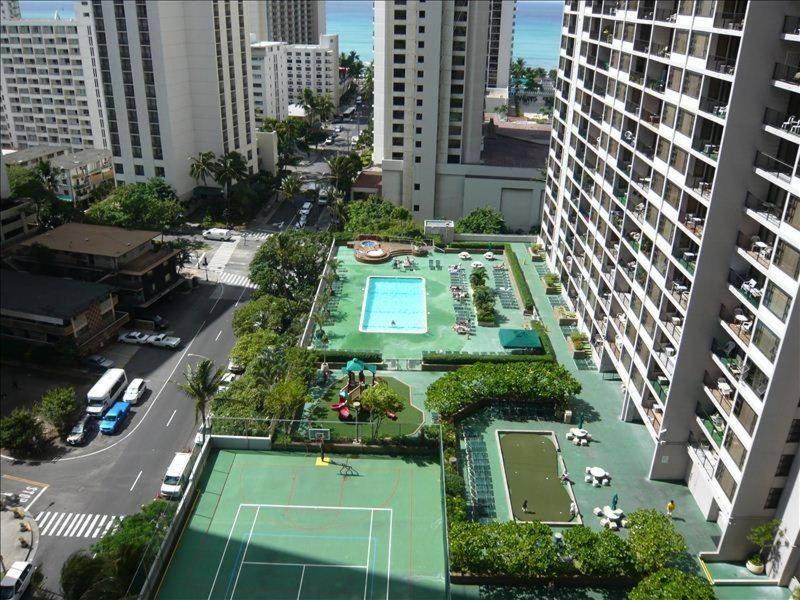 Waikiki Banyan - image 6
