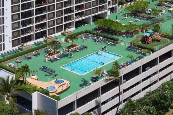 Waikiki Banyan - image 4