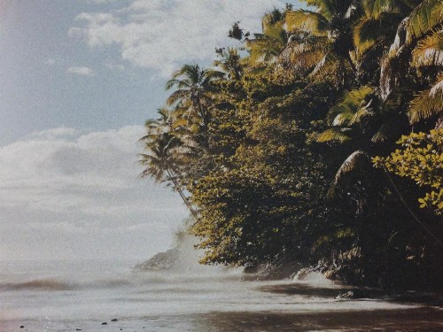 Honomu Inn - image 16