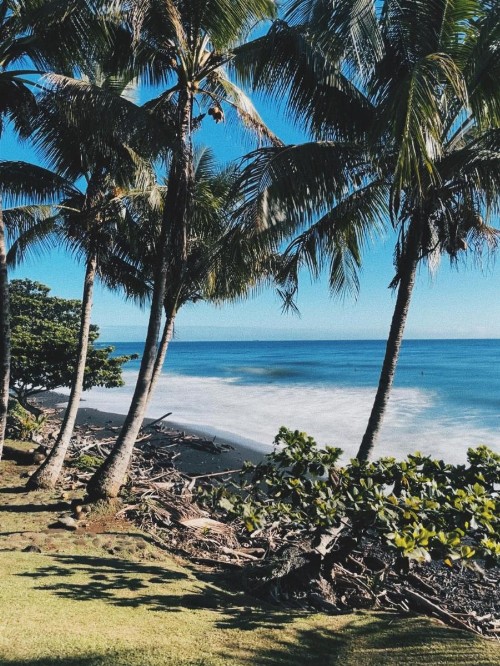 Honomu Inn - image 17