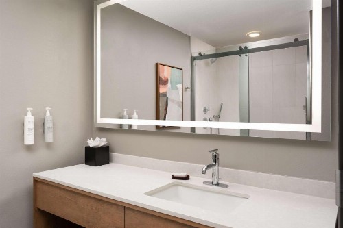Embassy Suites Hot Springs - Hotel & Spa - image 22