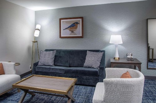 DoubleTree by Hilton Hot Springs - image 33