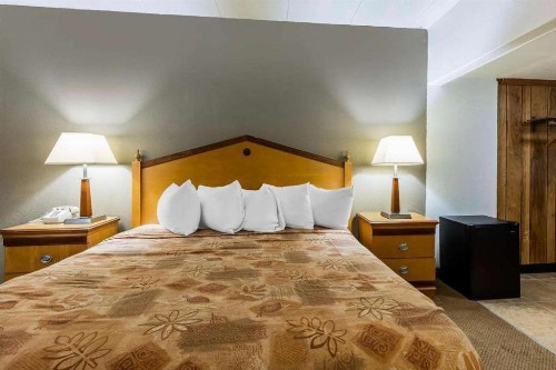 Lotus by Hotel Inn - Hot Springs - image 7
