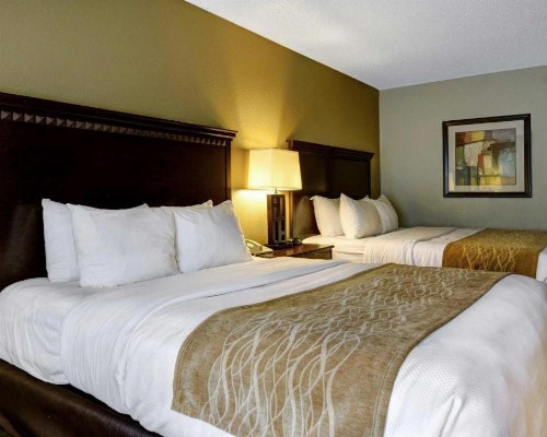Comfort Inn & Suites Hot Springs Central - image 13