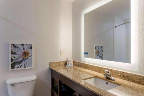 Comfort Inn & Suites Hot Springs Central - image 17
