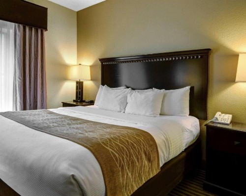 Comfort Inn & Suites Hot Springs Central - image 24