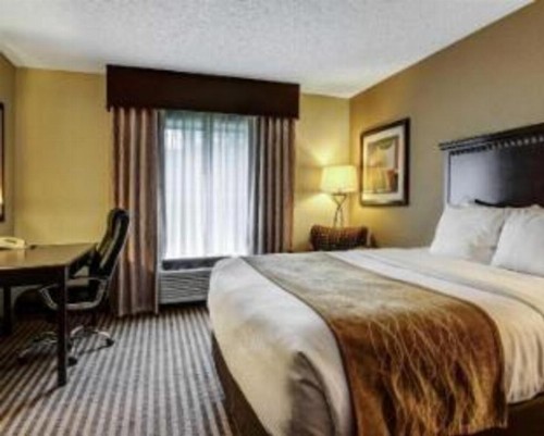 Comfort Inn & Suites Hot Springs Central - image 25
