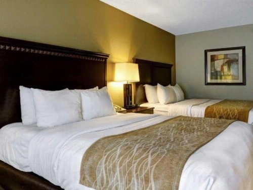 Comfort Inn & Suites Hot Springs Central - image 28