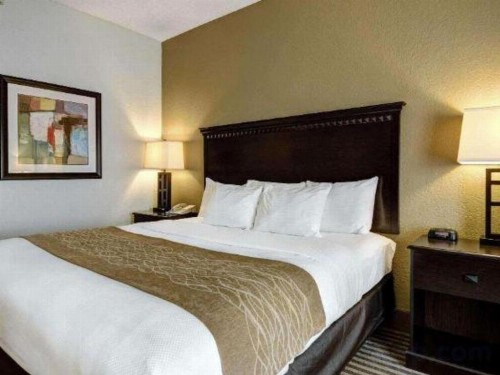 Comfort Inn & Suites Hot Springs Central - image 29