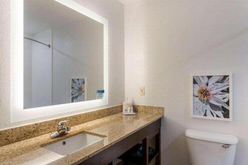Comfort Inn & Suites Hot Springs Central - image 36