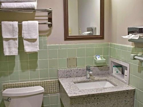 Rodeway Inn Hot Springs - image 16