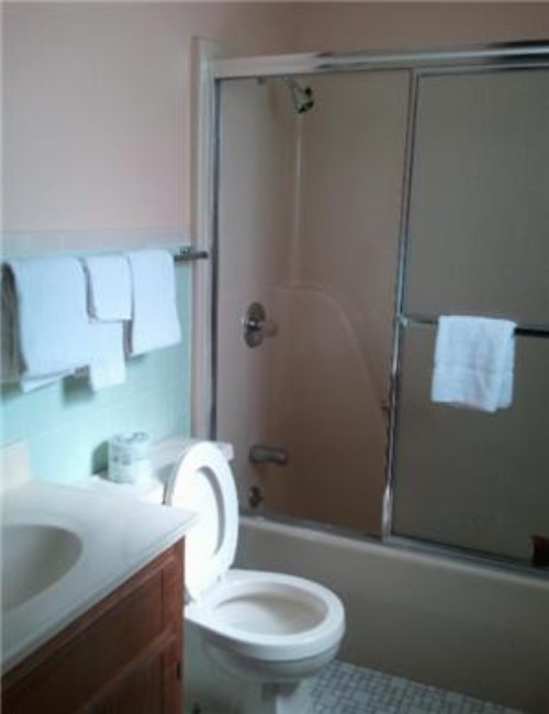 Shamrock Motel Hot Springs - image 11