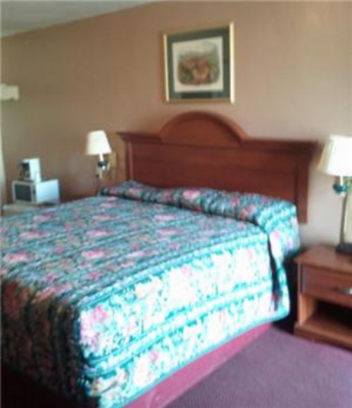 Shamrock Motel Hot Springs - image 8