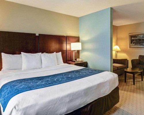 Comfort Suites near Hot Springs Park - image 7