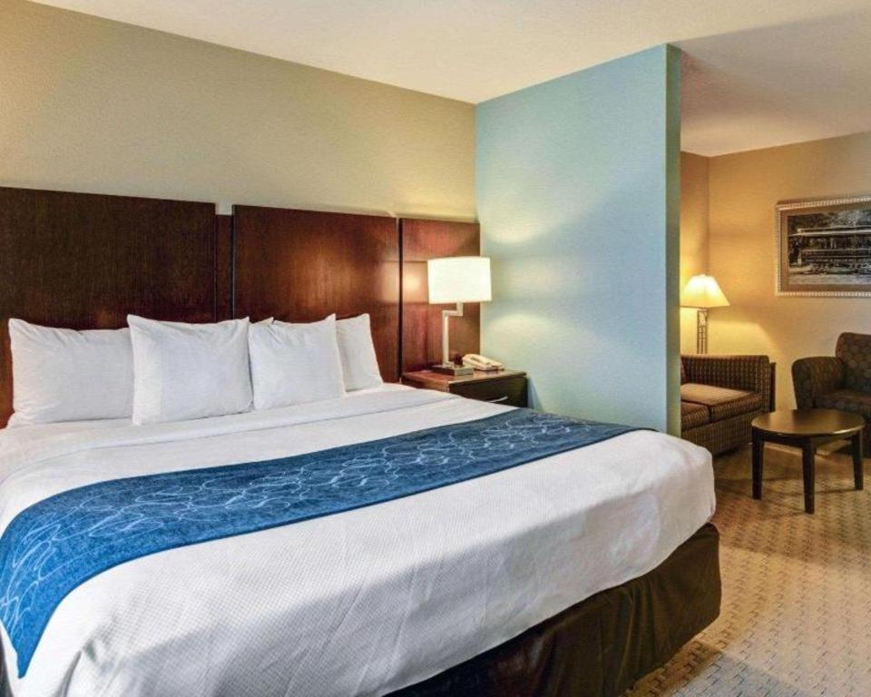 Comfort Suites near Hot Springs Park - image 7