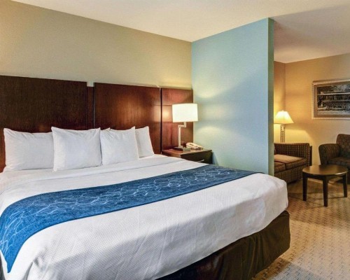 Comfort Suites near Hot Springs Park - image 13