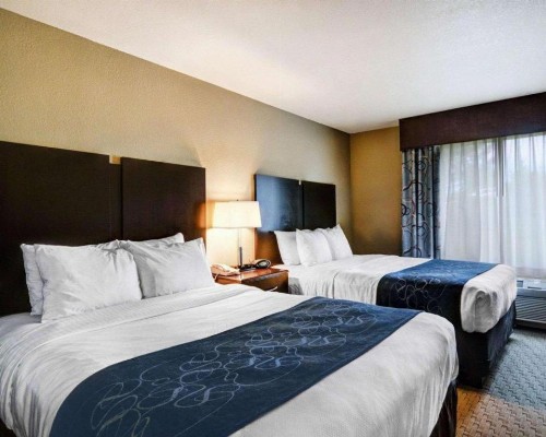 Comfort Suites near Hot Springs Park - image 16