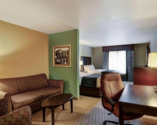 Comfort Suites near Hot Springs Park - image 38