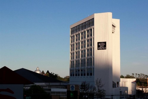 The Hotel Hot Springs - image 12