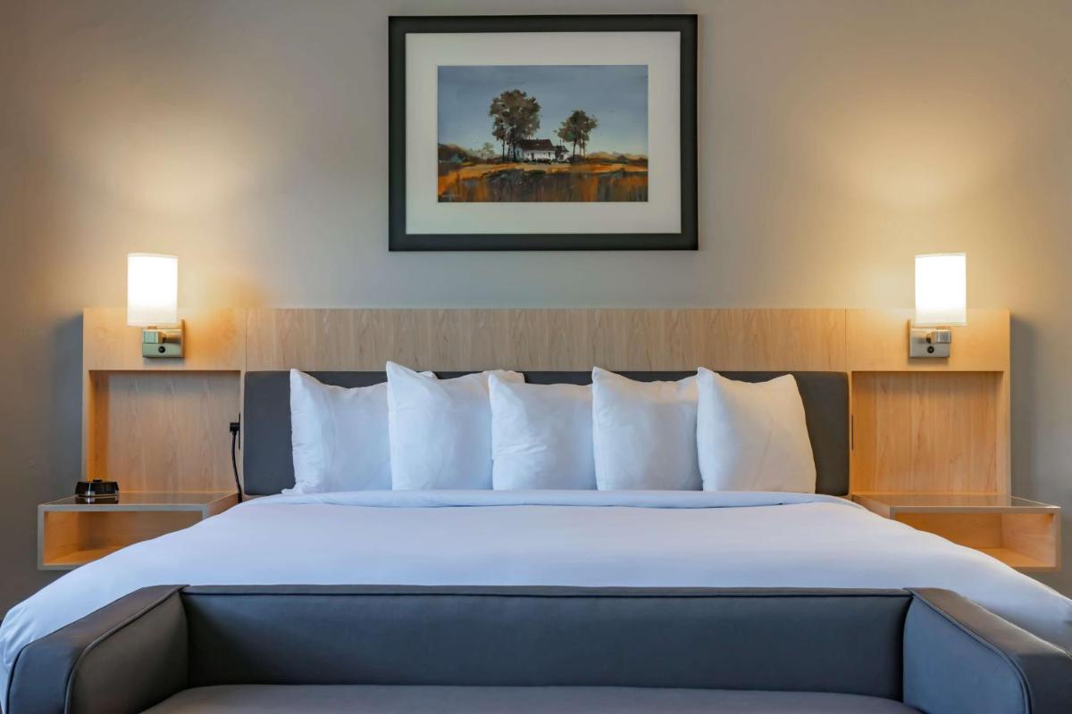 The Waters Hot Springs Tapestry Collection by Hilton - image 2