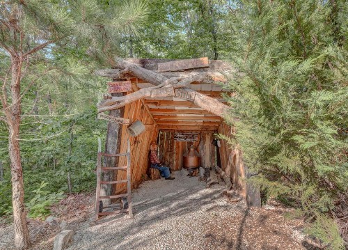 Fox Pass Cabins - image 7