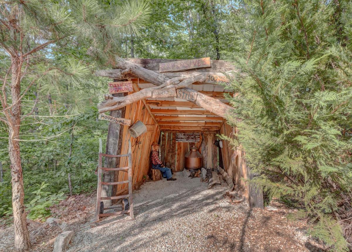 Fox Pass Cabins - image 7