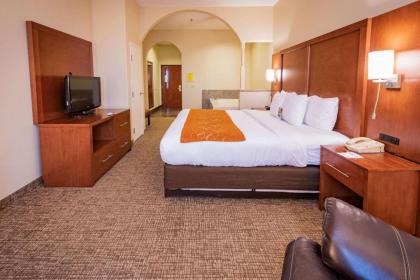 Comfort Suites Near Texas Medical Center - NRG Stadium - image 11