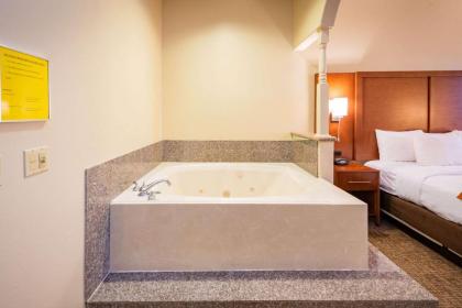 Comfort Suites Near Texas Medical Center - NRG Stadium - image 12