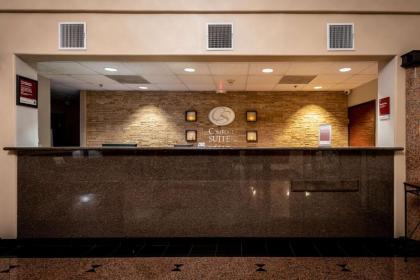 Comfort Suites Near Texas Medical Center - NRG Stadium - image 15