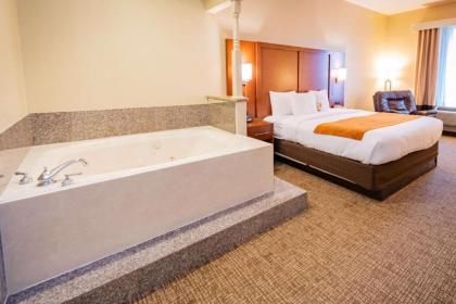 Comfort Suites Near Texas Medical Center - NRG Stadium - image 17