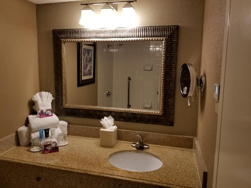 Wyndham Houston near NRG Park - Medical Center - image 5