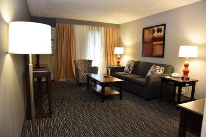 Wyndham Houston near NRG Park - Medical Center - image 7