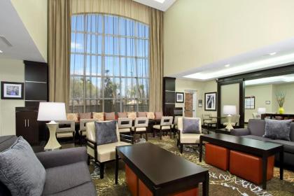 Staybridge Suites - Houston - Medical Center an IHG Hotel - image 5