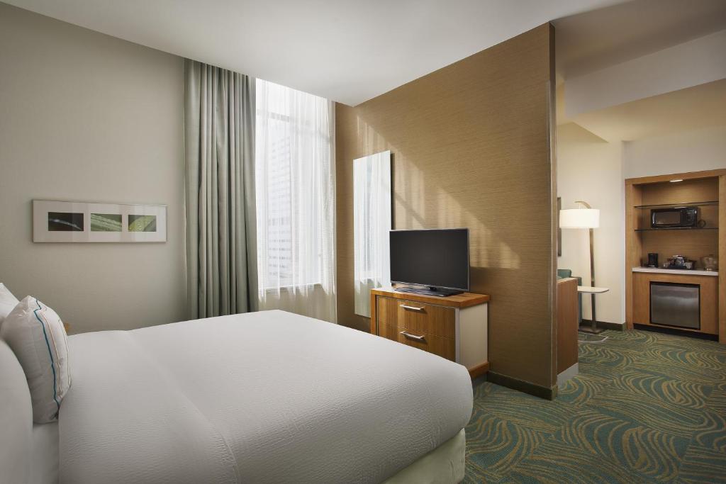 SpringHill Suites by Marriott Houston Downtown/Convention Center - image 5