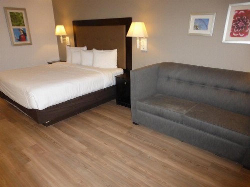 Red Roof Inn Houston - Jersey Village - image 2