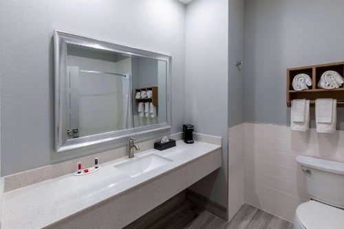 Days Inn & Suites by Wyndham Downtown/University of Houston - image 13