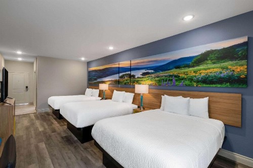 Days Inn & Suites by Wyndham Downtown/University of Houston - image 25