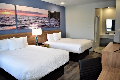 Days Inn & Suites by Wyndham Downtown/University of Houston - image 30