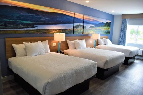 Days Inn & Suites by Wyndham Downtown/University of Houston - image 31