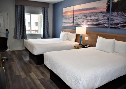 Days Inn & Suites by Wyndham Downtown/University of Houston - image 8