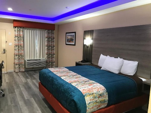 Scottish Inn & Suites Houston Willowbrook - image 7