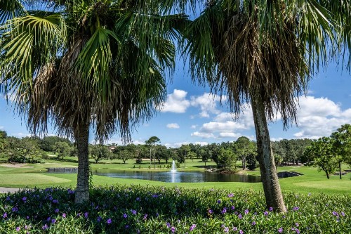 Mission Inn Resort & Club - image 22