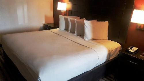 Red Roof Inn & Suites Houston – Humble/IAH Airport - image 11