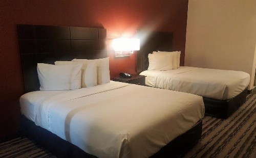 Red Roof Inn & Suites Houston – Humble/IAH Airport - image 14